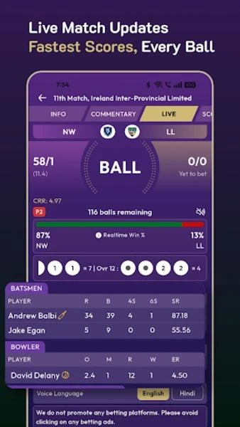 Ball by Ball Cricket API