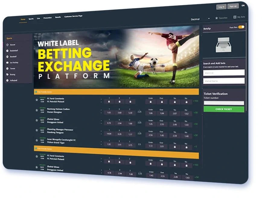 Cricket Exchange Website Development